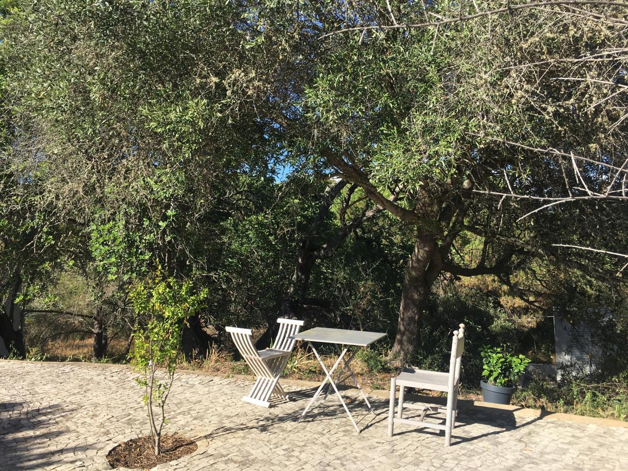 Casa Da Ti Carolina Villa Carvoeiro  Ngoại thất bức ảnh